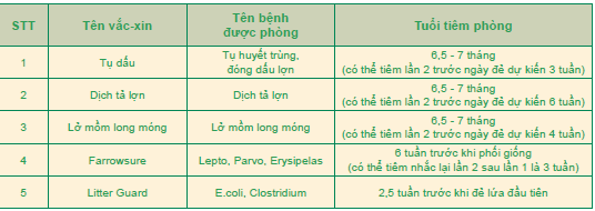 lich-trinh-tiem-vacxin-nai-hau-bi