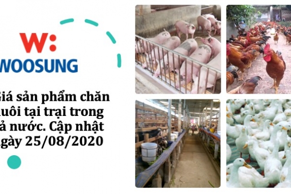 Giá sản phẩm chăn nuôi tại trại trong cả nước. Cập nhật ngày 25/08/2020