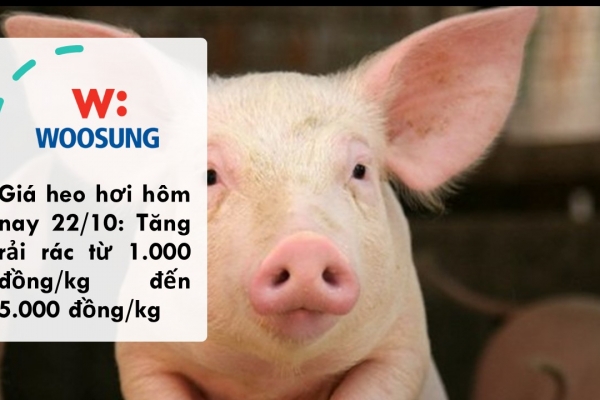 Giá heo hơi hôm nay 22/10: Tăng rải rác từ 1.000 đồng/kg đến 5.000 đồng/kg