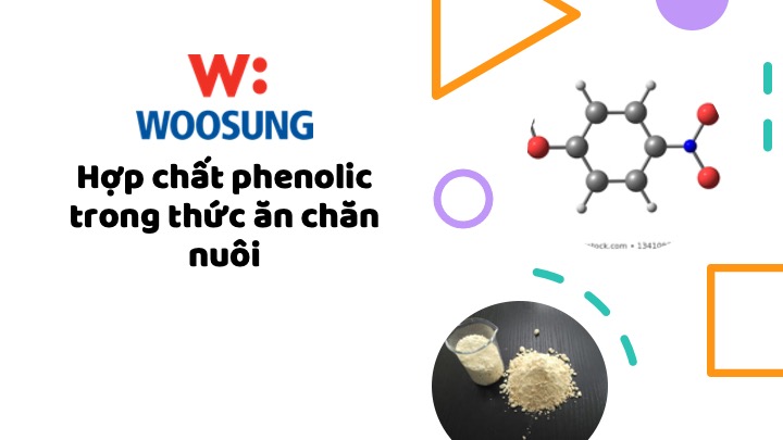 Hợp chất phenolic: Tính chất, lợi ích và ứng dụng