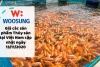 Giá các sản phẩm Thủy sản tại Việt Nam cập nhật ngày 13/11/2020