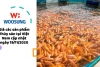 Giá các sản phẩm Thủy sản tại Việt Nam cập nhật ngày 19/11/2020