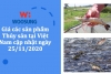 Giá các sản phẩm Thủy sản tại Việt Nam cập nhật ngày 25/11/2020