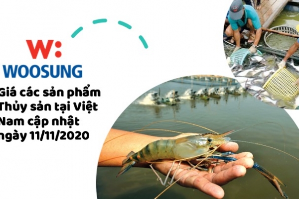 Giá các sản phẩm Thủy sản tại Việt Nam cập nhật ngày 11/11/2020