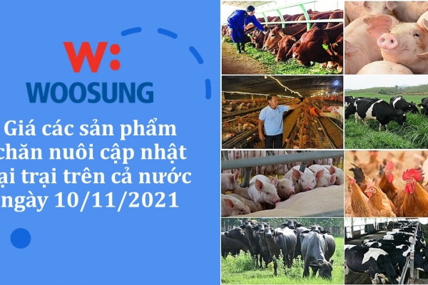 GIÁ SẢN PHẨM CHĂN NUÔI (TẠI TRẠI) CẢ NƯỚC NGÀY 10/11/2021