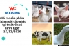 Giá các sản phẩm chăn nuôi cập nhật tại trại trên cả nước ngày 15/12/2020
