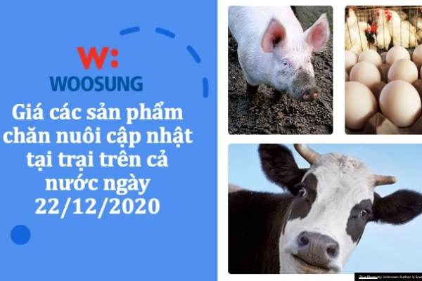 Giá các sản phẩm chăn nuôi cập nhật tại trại trên cả nước ngày 22/12/2020